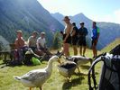 032alpen.jpg