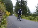 048alpen.jpg