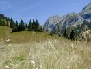 066alpen.jpg
