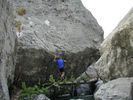 184alpen.jpg