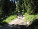 142-4237_IMG.JPG