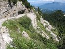 144-4431_IMG.JPG