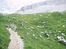 100-0064_IMG.JPG