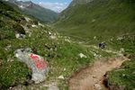 DSC_0037.JPG