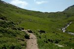 DSC_0043.JPG