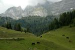 DSC_0170.JPG