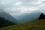 DSC_0242.JPG