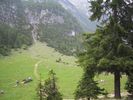 IMG_0087.JPG