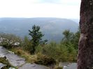 Fotoarchiv - 4889.jpg