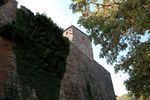 Fotoarchiv - 5275.jpg