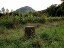 Fotoarchiv - 4936.jpg