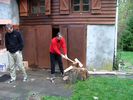 DSCF1000.JPG