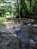 DSC00507.JPG