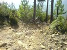 DSC00177.JPG