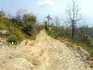 DSC00191.JPG