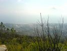 DSC00192.JPG