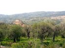 DSC00368.JPG