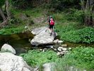 DSC00375.JPG