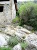 DSC00377.JPG