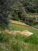 DSC00385.JPG