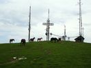 DSC00388.JPG