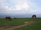 DSC00390.JPG
