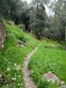 DSC00394.JPG