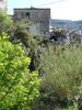 DSC00422.JPG