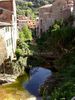 DSC00431.JPG