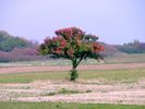 DSCF0686.JPG