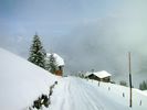 IMG_1569.JPG