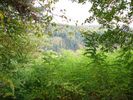 Fotoarchiv - 5433.jpg