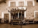 Biker Gruppe - 08.jpg