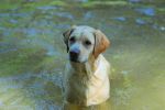 DSC_0061.jpg