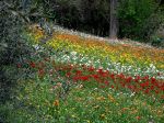 Landscape - 097.jpg