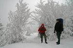 Vogesen_Wintertrekking_20081228_031a.JPG