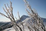 Vogesen_Wintertrekking_20081229_112.JPG