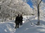 Vogesen_Wintertrekking_20081229_113.JPG