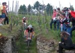 emc_trarbach_2009_5.jpg