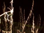 100_2646.JPG