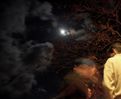 91688A8C-6FBC-11DA-BEF9-001124D2B4D4.jpg