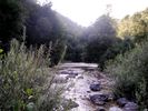 PICT2029.jpg