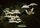 9677DB5C-4A10-11DB-8CDF-001124D2B4D4.jpg