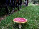 38C94769-5123-11DB-8D25-001124D2B4D4.jpg