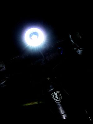 Klicken f�r Bild in voller Gr��e