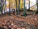 Fotoarchiv - 354.jpg