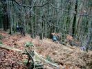 DSCF3116.jpg