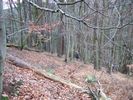 DSCF3118.jpg