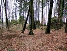 DSCF3122.jpg