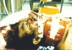 takalah-tan-accident.jpg